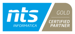 nts informatica gold - logo